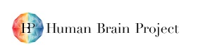 Infrastructure du Human Brain Project logo